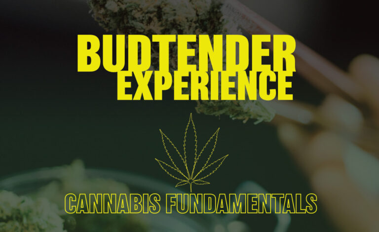 Budtender Experience - The Science and Art of Budtending​